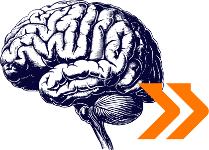 Brain Graphic: A detailed, hand-drawn illustration of a human brain in dark blue, with two bold orange chevrons pointing to the right at the bottom corner.