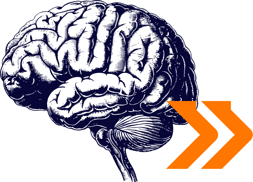 Brain Graphic: A detailed, hand-drawn illustration of a human brain in dark blue, with two bold orange chevrons pointing to the right at the bottom corner.